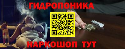 ешки Боровичи