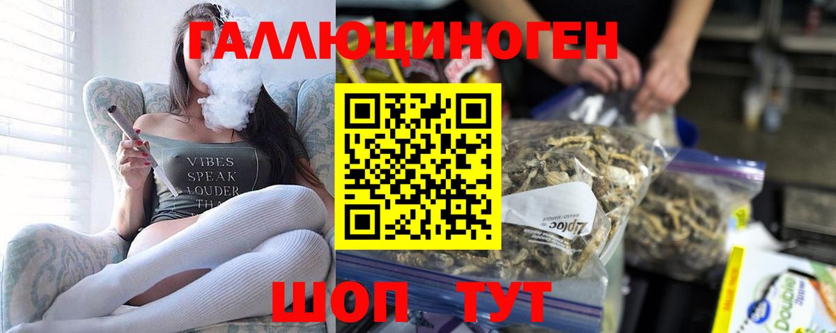 Галлюциногенные грибы Psilocybine cubensis Сегежа