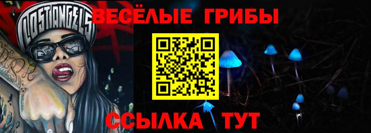 Сегежа  Псилоцибиновые грибы мицелий  Вход с VPN 